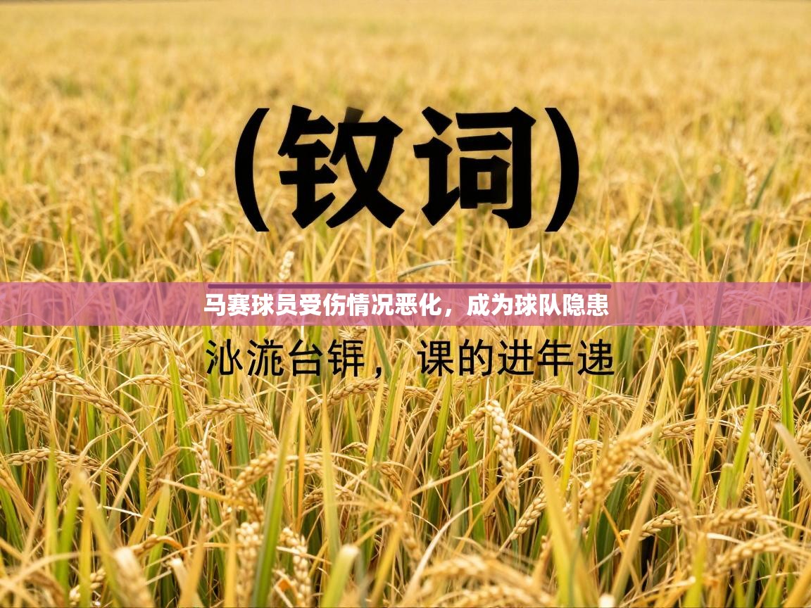 马赛球员受伤情况恶化，成为球队隐患  第1张