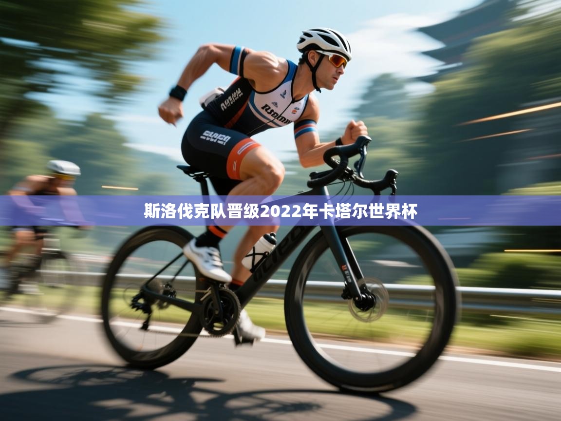 斯洛伐克队晋级2022年卡塔尔世界杯 第1张