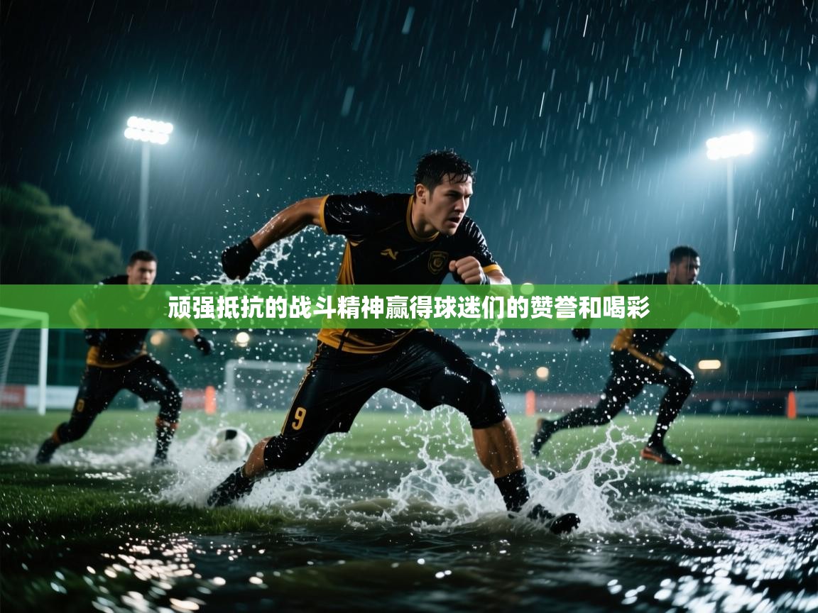 顽强抵抗的战斗精神赢得球迷们的赞誉和喝彩  第1张