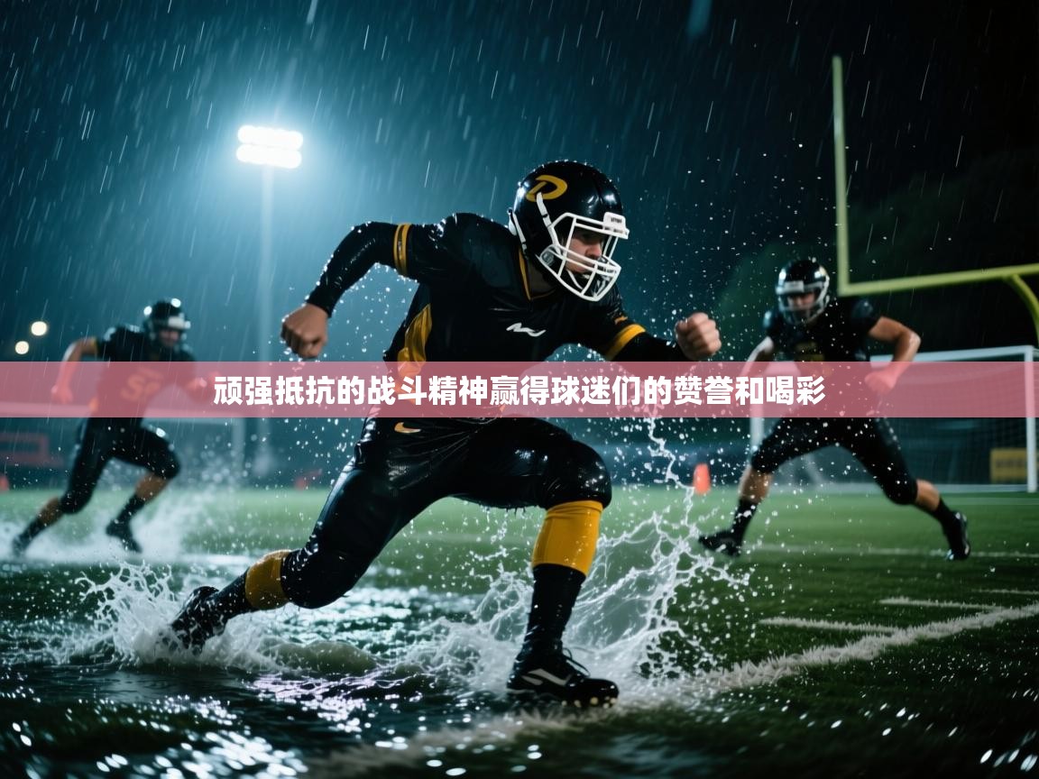 顽强抵抗的战斗精神赢得球迷们的赞誉和喝彩  第2张
