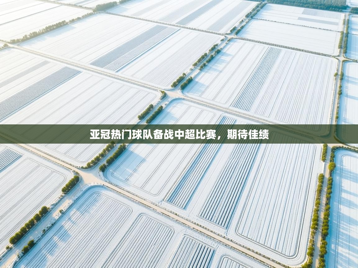 亚冠热门球队备战中超比赛,期待佳绩 第1张