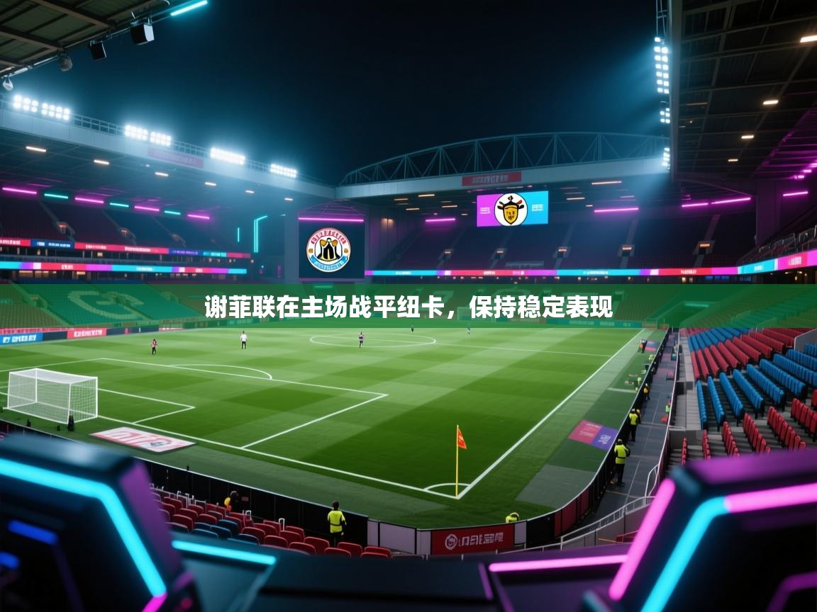 谢菲联在主场战平纽卡,保持稳定表现 第1张