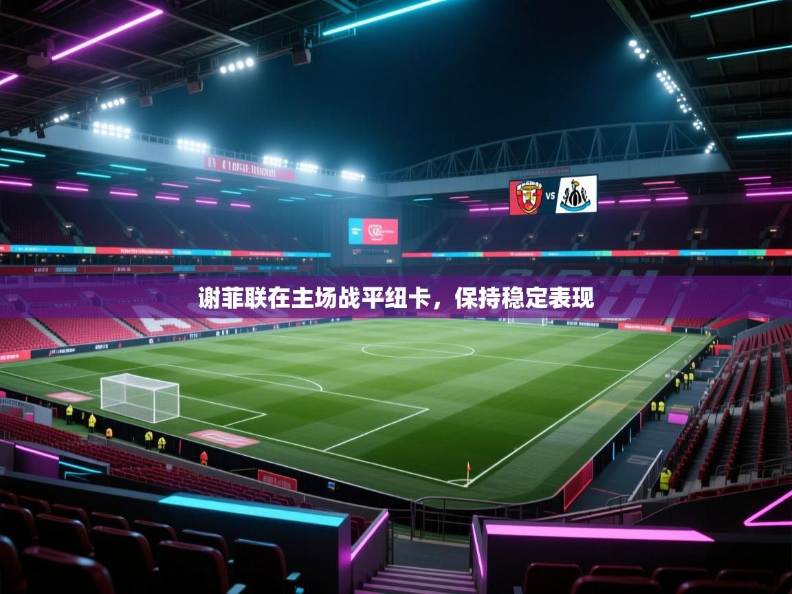 谢菲联在主场战平纽卡,保持稳定表现 第2张