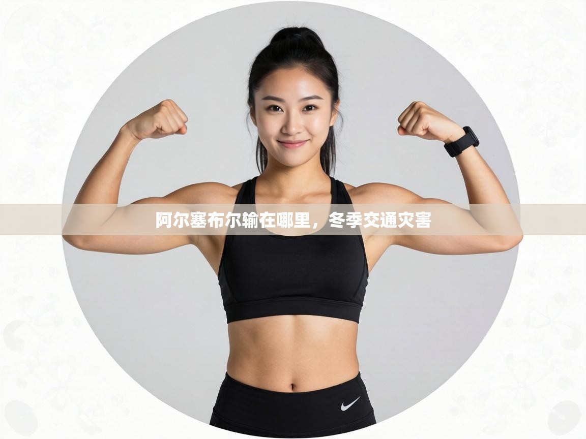 阿尔塞布尔输在哪里,冬季交通灾害 第1张